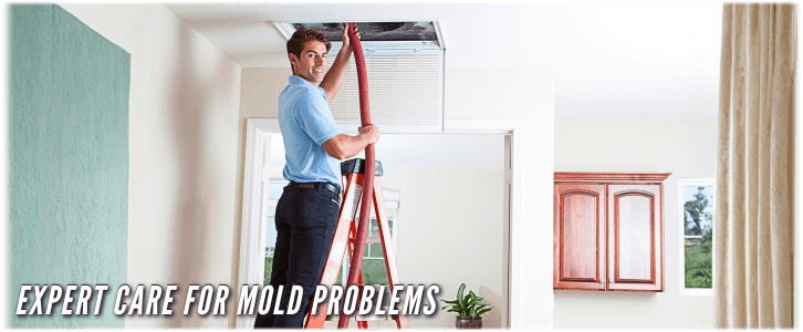 Air Duct Mold Removal in Glendale Heights IL