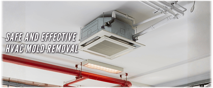 HVAC Mold Removal Glendale Heights IL